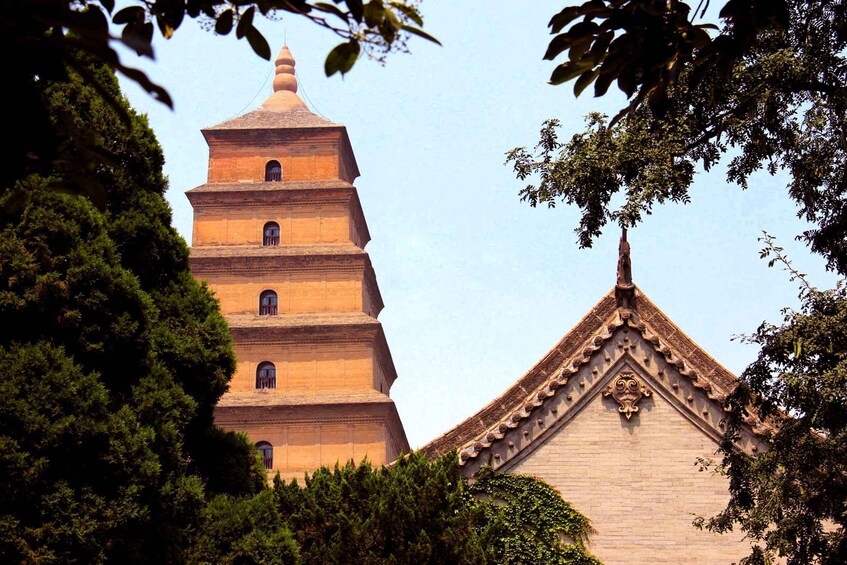 Picture 2 for Activity Big Wild Goose Pagoda Night Tour of Dinner Option QR Code 2