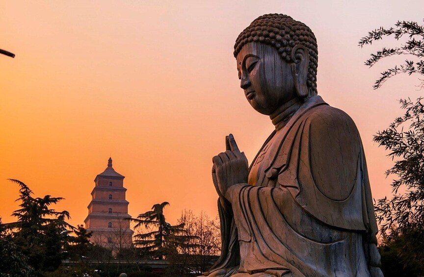 Big Wild Goose Pagoda Night Tour of Dinner Option QR Code 1