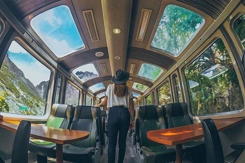 A train interior with large windows, a person standing, and tables. 5