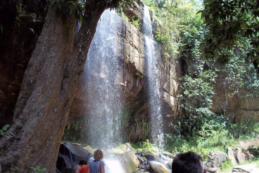 Full Day Shimba Hills Safari Wildlife and Sheldrick Falls 1