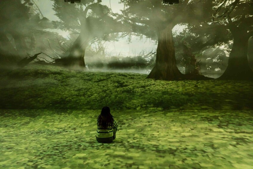 A person sitting on the ground in a forest with large trees and a misty atmosphere. 1