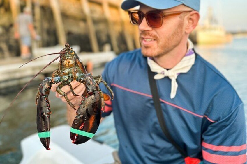 A person holding a lobster. 1