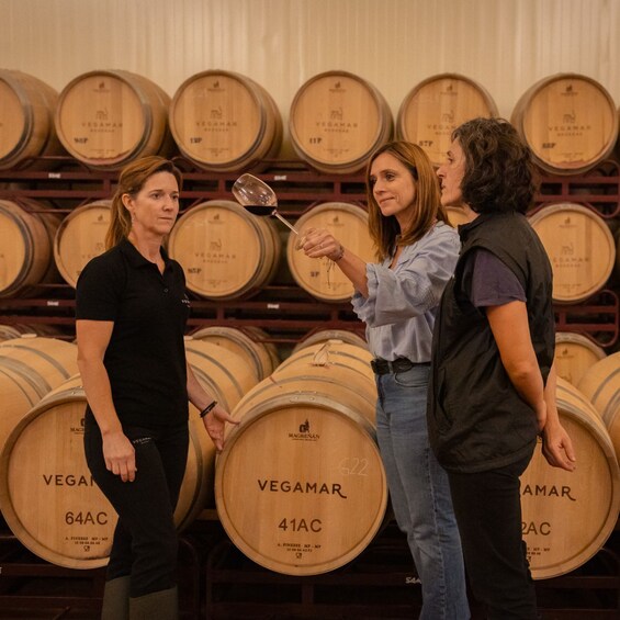 Picture 1 for Activity Valencia: Vegamar Winery Tour, Tasting, and Lunch 4
