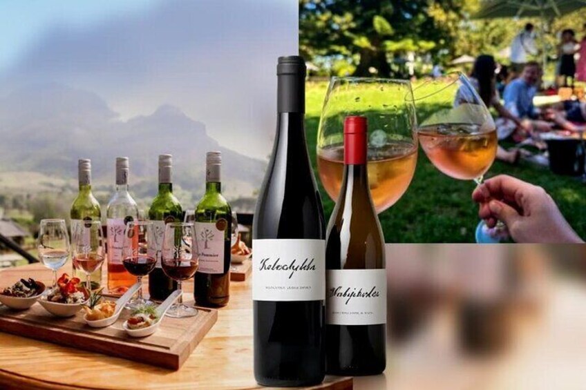 The Cape Winelands Tour 5
