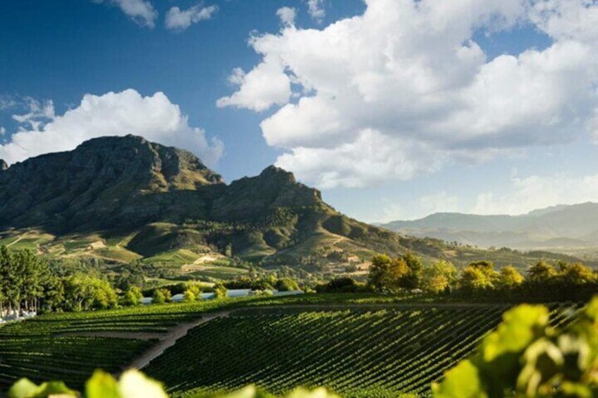The Cape Winelands Tour 3