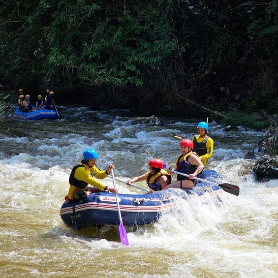 Picture 20 for Activity From Phuket to Phangnga: Rapids, Canopy, Mud Tracks + Pickup 2