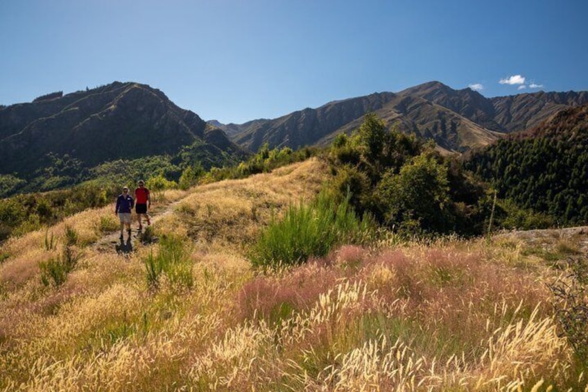 Arrowtown & Queenstown Kiwi Special Tour, Local discovery tour. 3