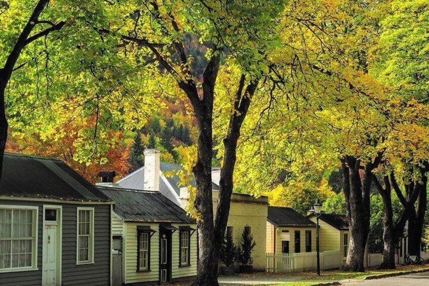 Arrowtown & Queenstown Kiwi Special Tour, Local discovery tour. 4