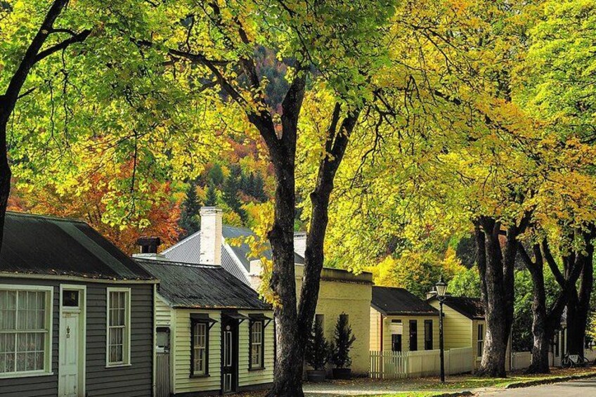 A residential street lined with houses and trees displaying autumn foliage. 2