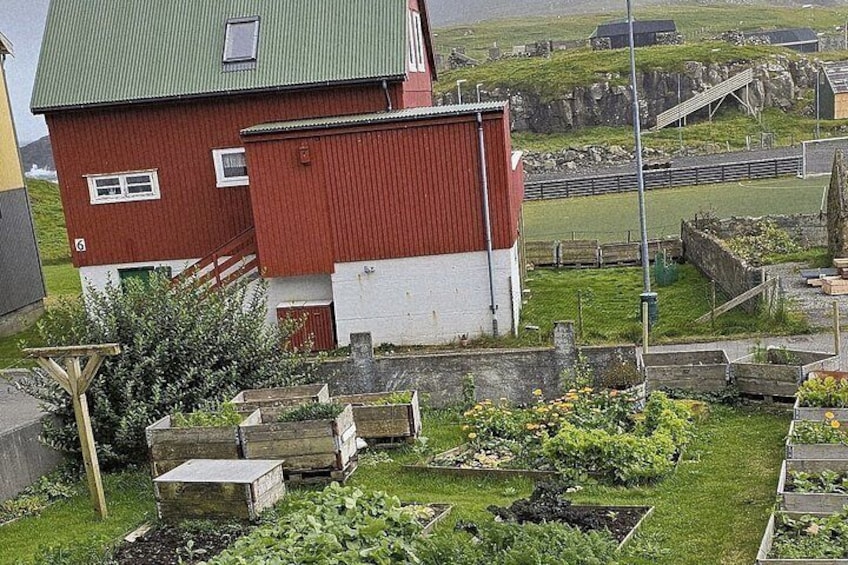 Faroese Cooking Class in Nólsoy Near Tórshavn with Maud 4