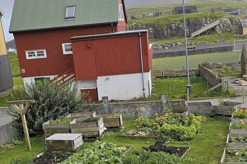 Faroese Cooking Class in Nólsoy Near Tórshav 4