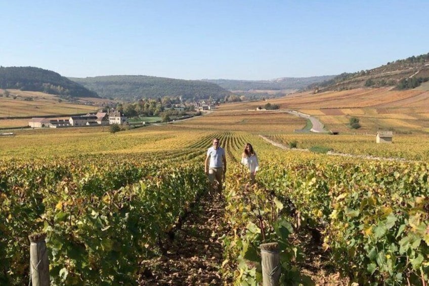 From Dijon Afternoon Côte de Nuits and Tasting 1