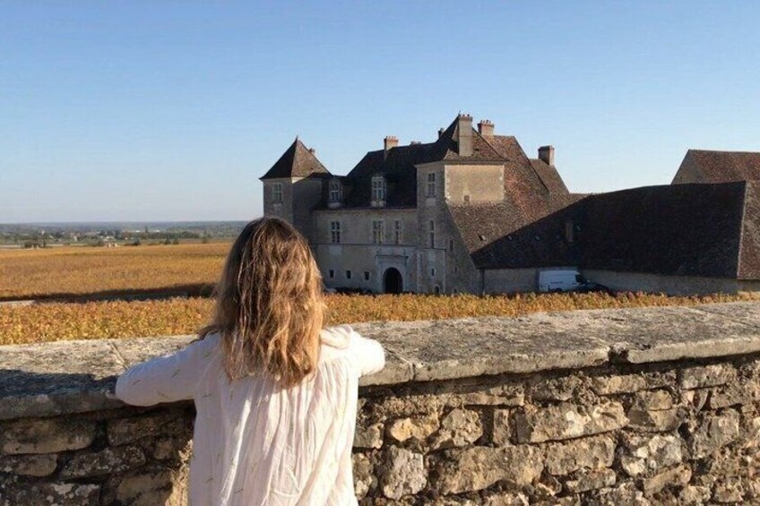A person overlooking a historic building with a stone wall in the foreground. 5