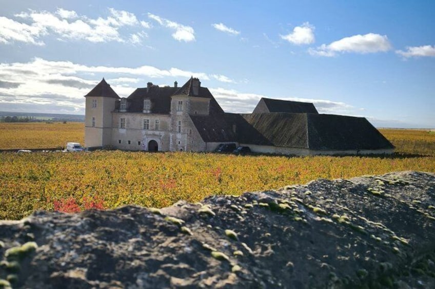 From Dijon Afternoon Côte de Nuits and Tasting 2
