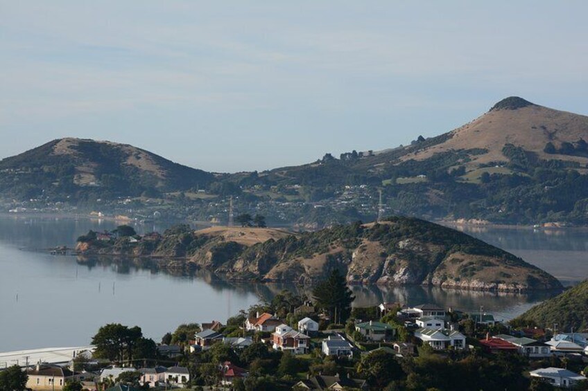 Port Chalmers and Otago Peninsula 4