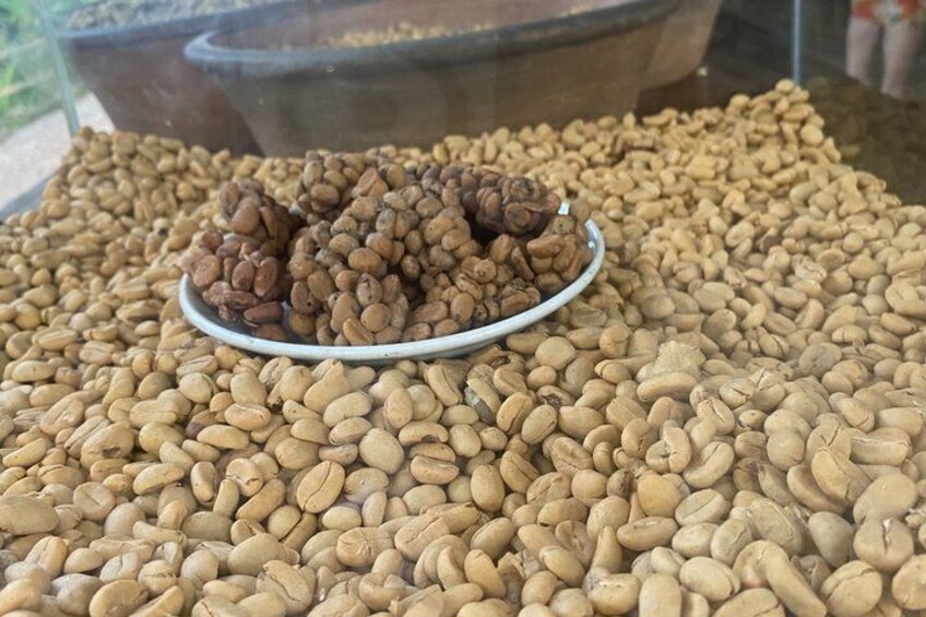 A large pile of coffee beans with a plate of roasted beans in the center. 5