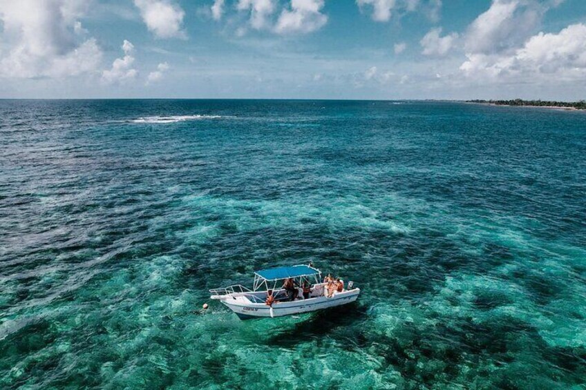 Costa Maya Natural Reef Snorkeling Tour 1