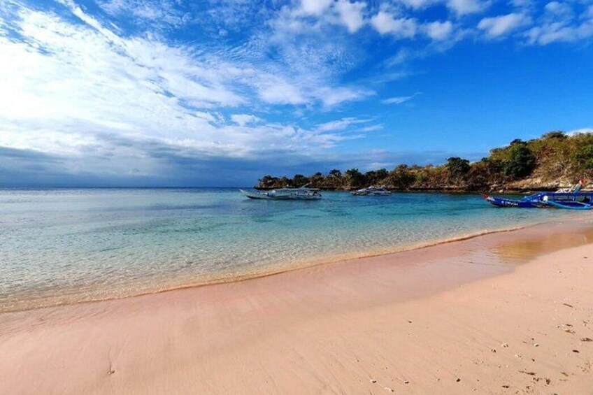Lombok Black Tip Reef Sharks Pink Beach Private Tour With Lunch 2