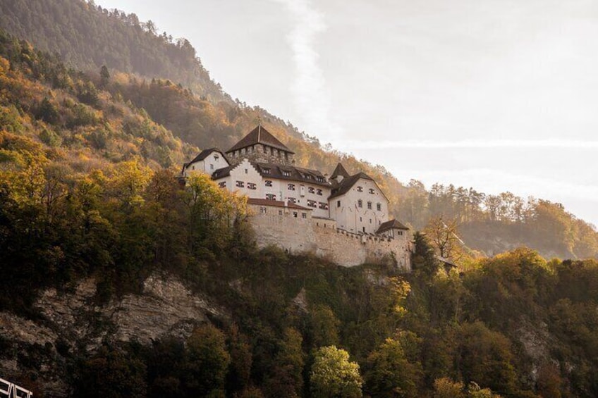 A castle on a hill with surrounding trees. 1
