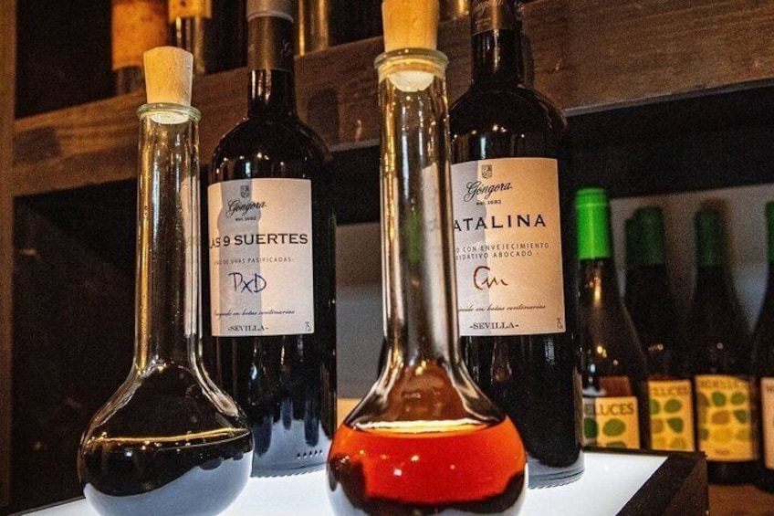 Wine Tasting at Sevilles Oldest Winery Bodegas Gongora 3