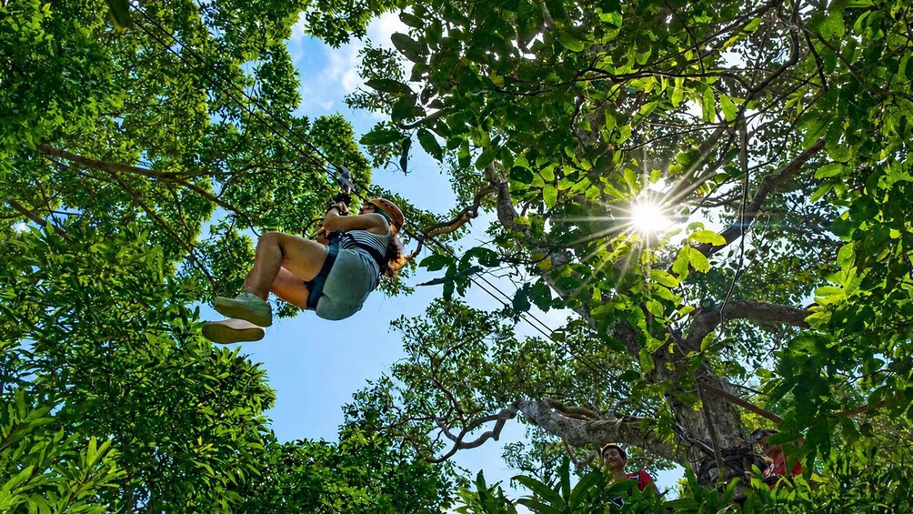 Picture 15 for Activity Ko Samui: Tree Bridge Jungle Zipline and Waterfall Adventure 5