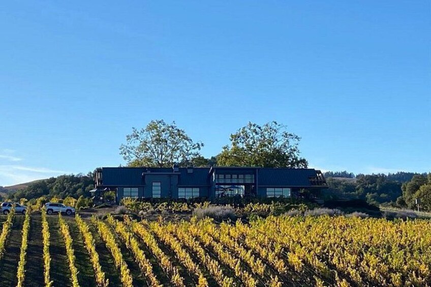 A modern building with a vineyard in the foreground. 2