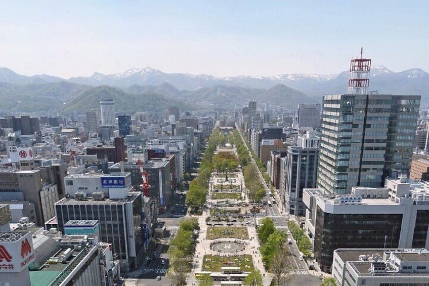 A cityscape with a central boulevard lined with trees, modern buildings, and a mountain range in the background. 5