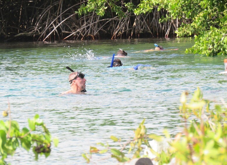 Picture 1 for Activity Akumal: Robinson Crusoe Sailing Adventure 2