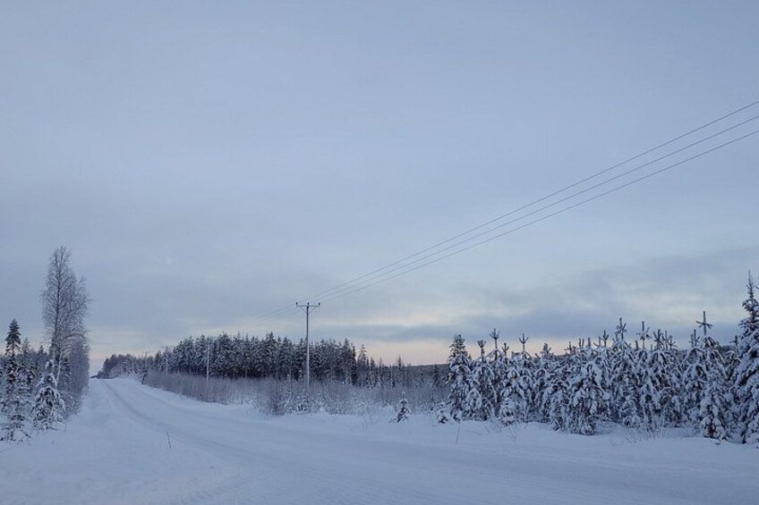 A snow-covered landscape with a road, trees, and power lines. 5