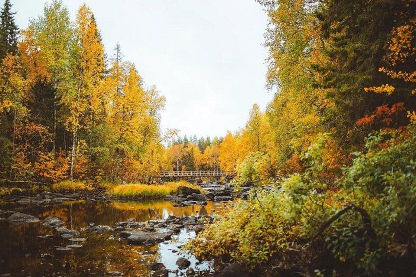 A forest with autumn foliage, a bridge, and a calm river. 4