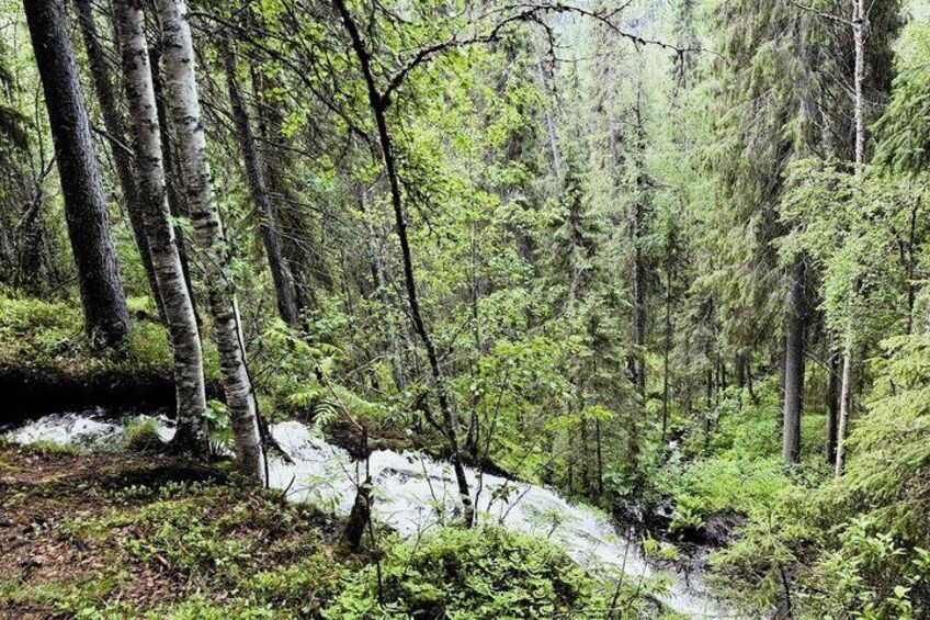 Korouoma Canyon & Auttiköngäs Summer, Autumn & Winter Hike + BBQ 2