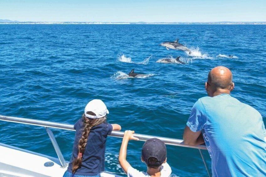 A boat with people observing dolphins jumping in the water. 4