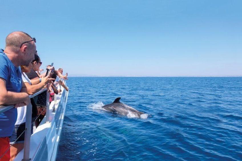 A dolphin leaping out of the ocean near a boat with passengers. 2