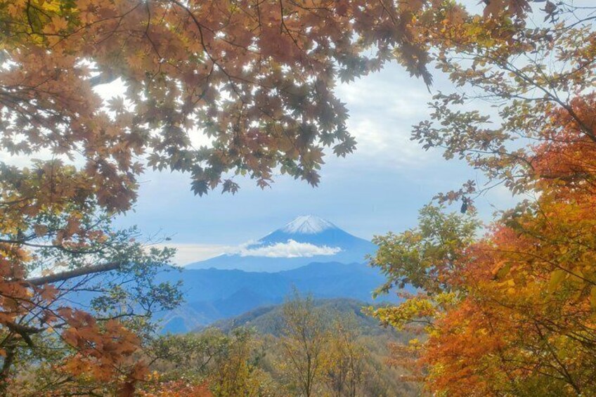Tokyo Nature Escape Hiking Local Food and Onsen with a Local Host 1