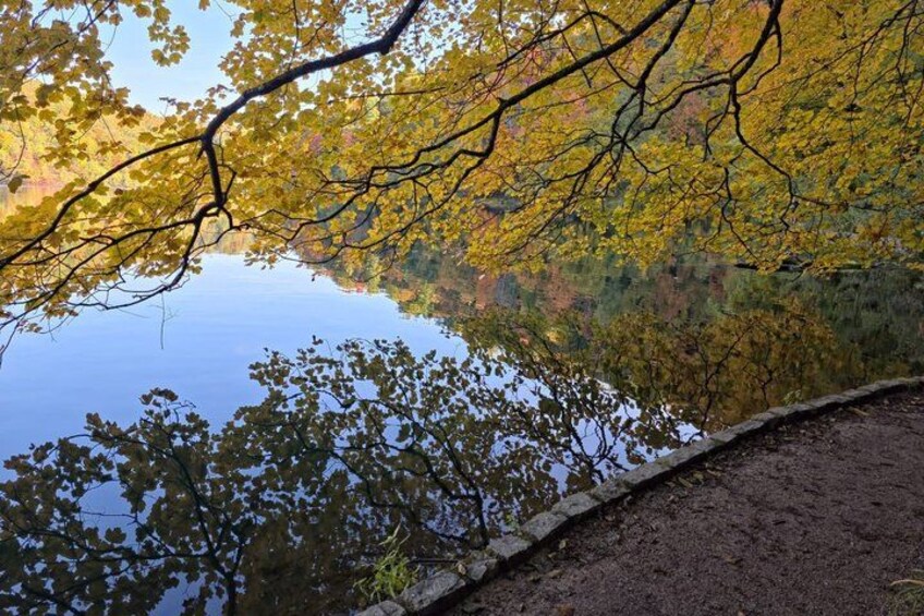 A lake surrounded by autumn foliage, with a dirt path leading to the water's edge. 5