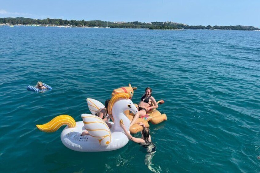 A person floating on a swan-shaped inflatable on a calm sea with a distant shoreline. 4