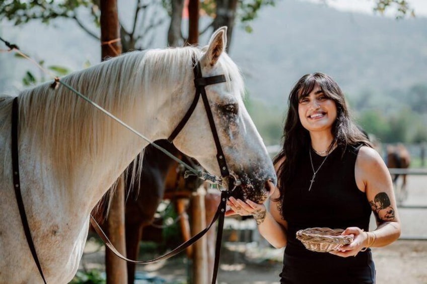 1 Hour Beginner Horse Riding Experience in Chiang Mai 1