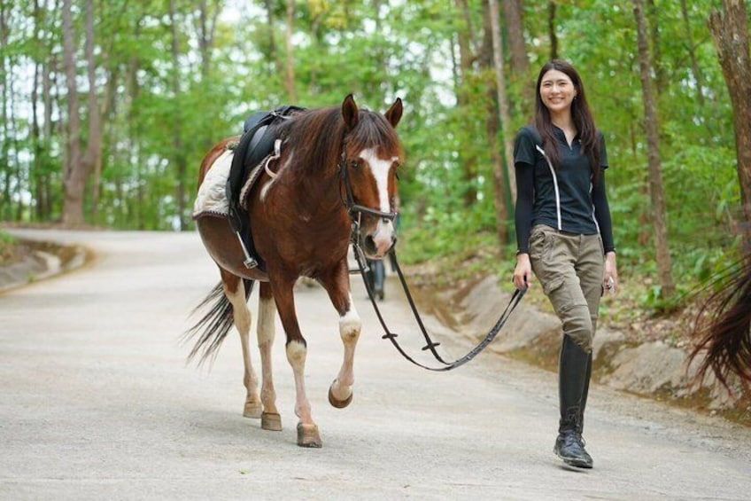 1 Hour Beginner Horse Riding Experience in Chiang Mai 5