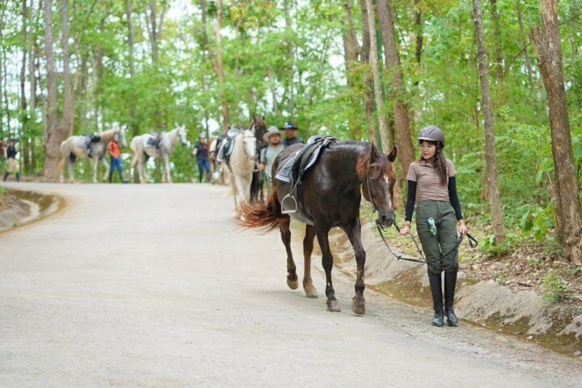 1 Hour Beginner Horse Riding Experience in Chiang Mai 3