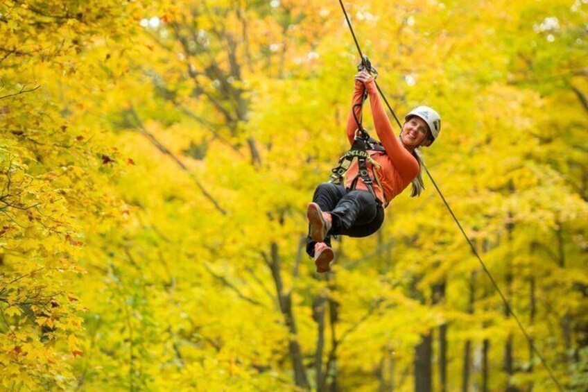 A person zip-lining through a forest with yellow foliage. 1