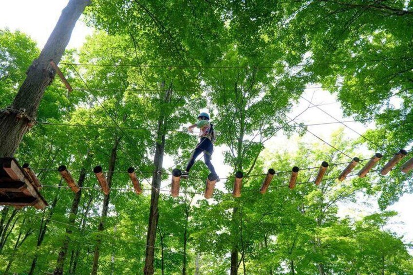 Treetop Trekking Barrie Zipline and Aerial Game Trek 3