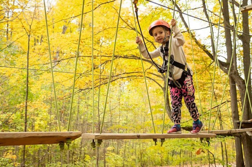 A child on a rope bridge in a forest with yellow foliage. 3