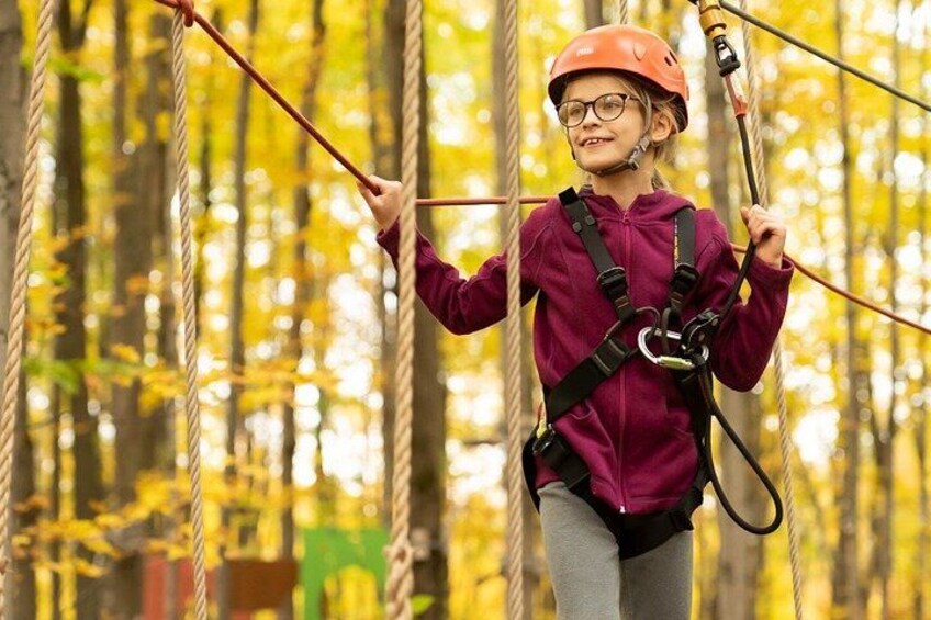 A person in a purple jacket and red helmet navigating a rope course in a forest. 3