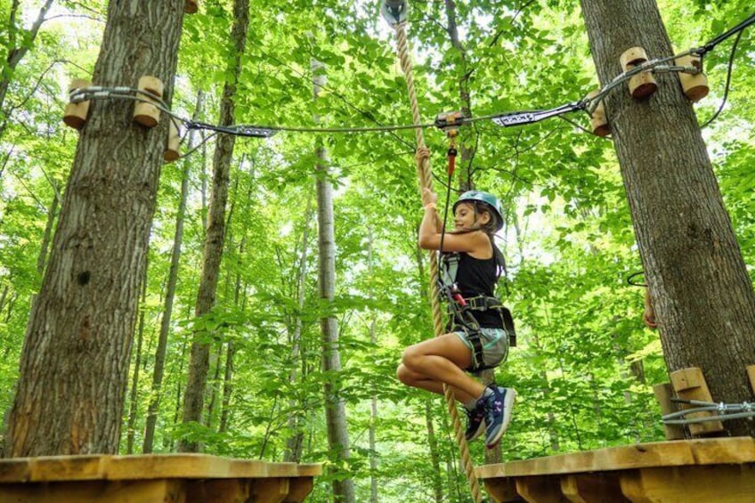 Discovery Kids Courses Treetop Trekking Barrie 4