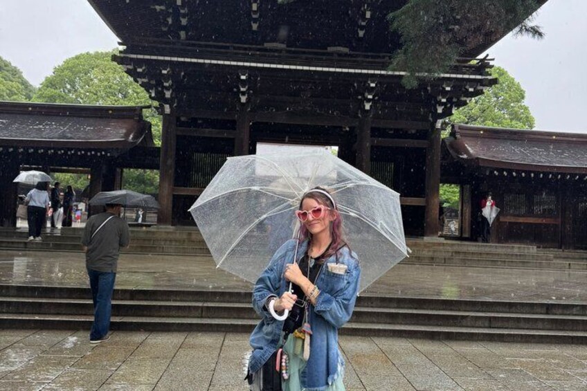 Tokyo Customized Private Tour – Explore Your Way in 1 Day 4