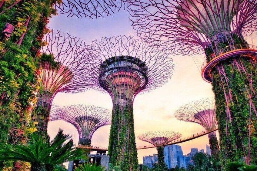 A garden with tall, tree-like structures with a cityscape in the background. 1