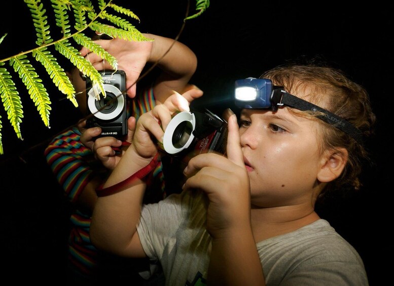 Picture 17 for Activity Family Night Walk in Cairns Botanic Gardens 2