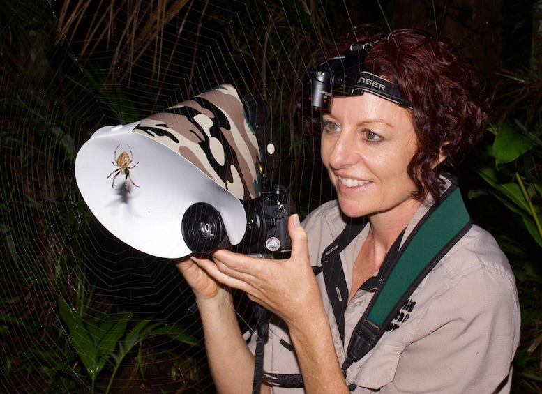 Picture 19 for Activity Family Night Walk in Cairns Botanic Gardens 4
