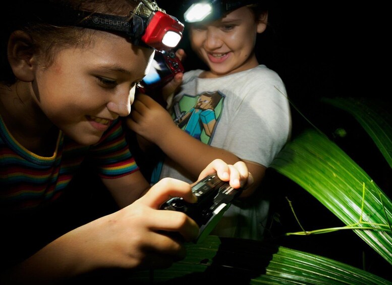 Picture 18 for Activity Family Night Walk in Cairns Botanic Gardens 3