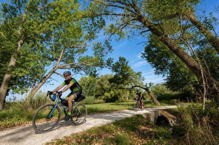 Lake Trasimeno eBike virtual-guided tour 3